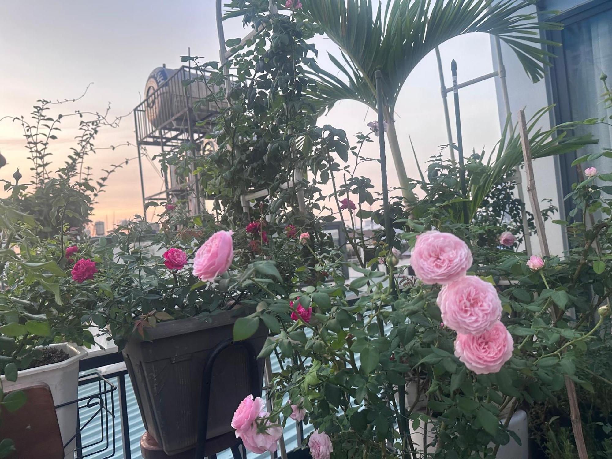 Homey Apartment Ho Chi Minh City Bagian luar foto