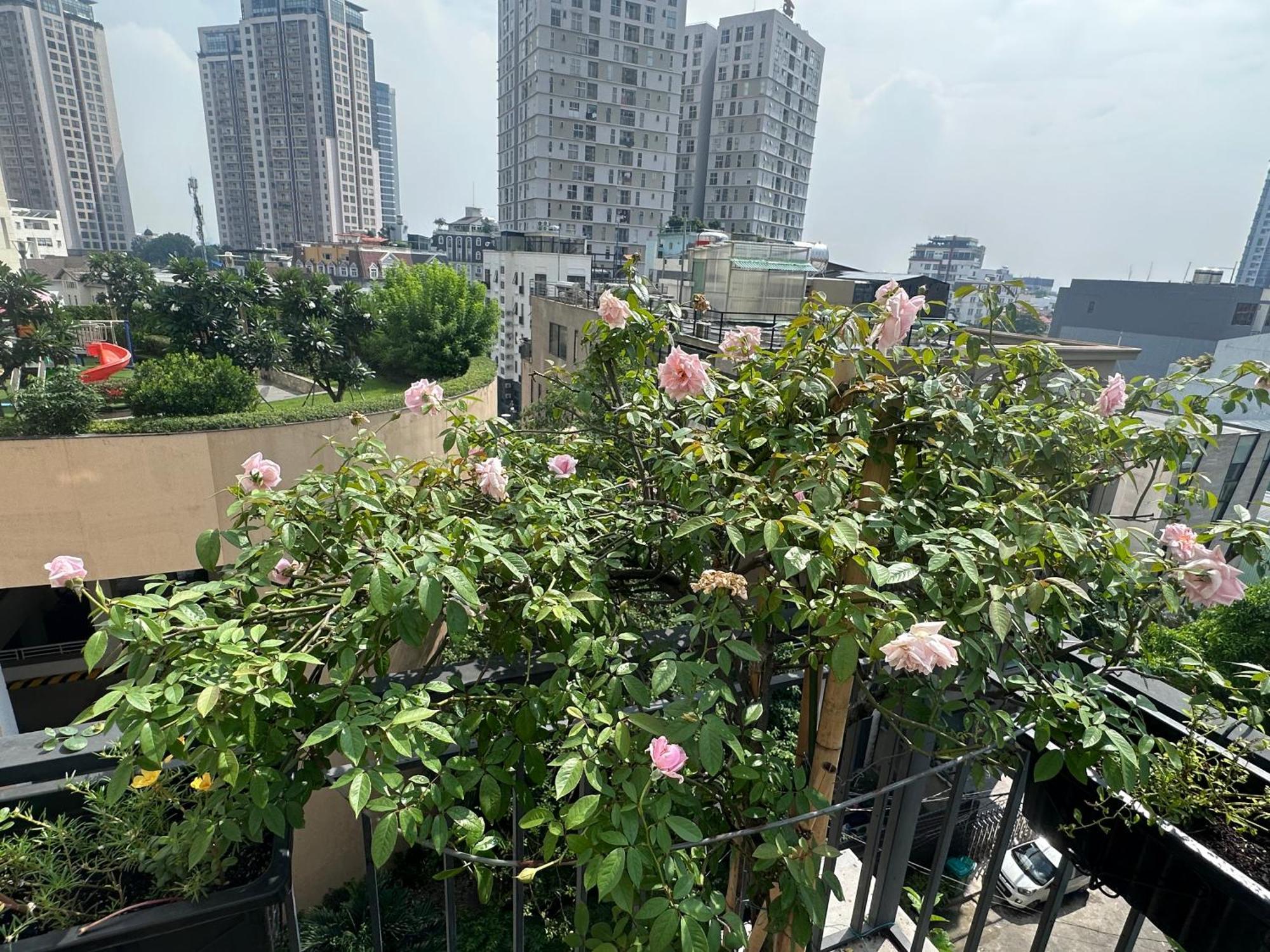 Homey Apartment Ho Chi Minh City Bagian luar foto