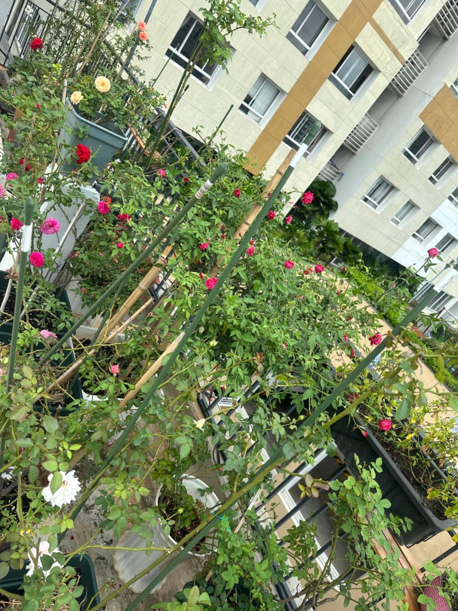 Homey Apartment Ho Chi Minh City Bagian luar foto